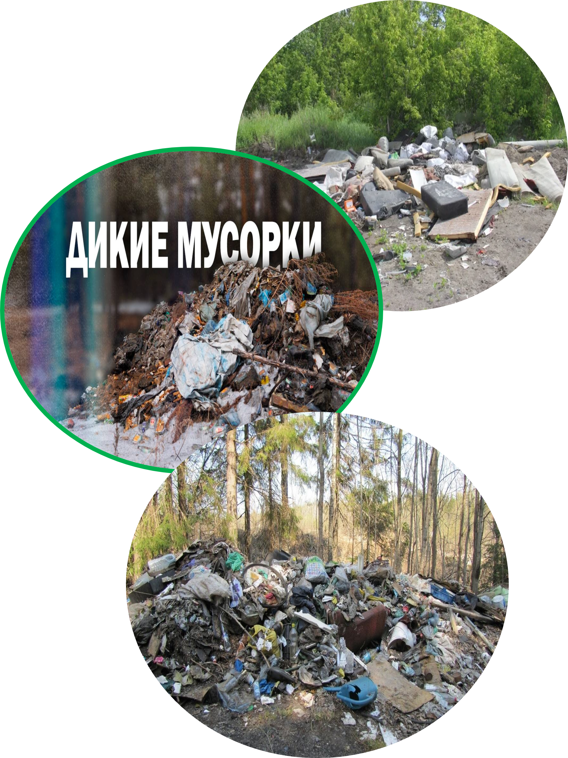 Несанкционированные свалки